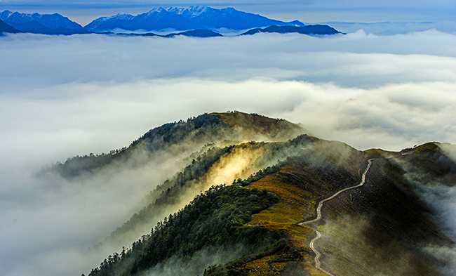 yl6809永利(中国游)官方网站